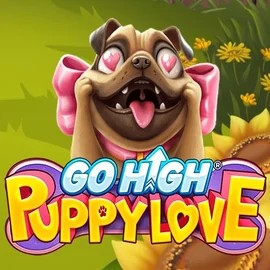 game logo by RubyPlay on fatspirate.fr
